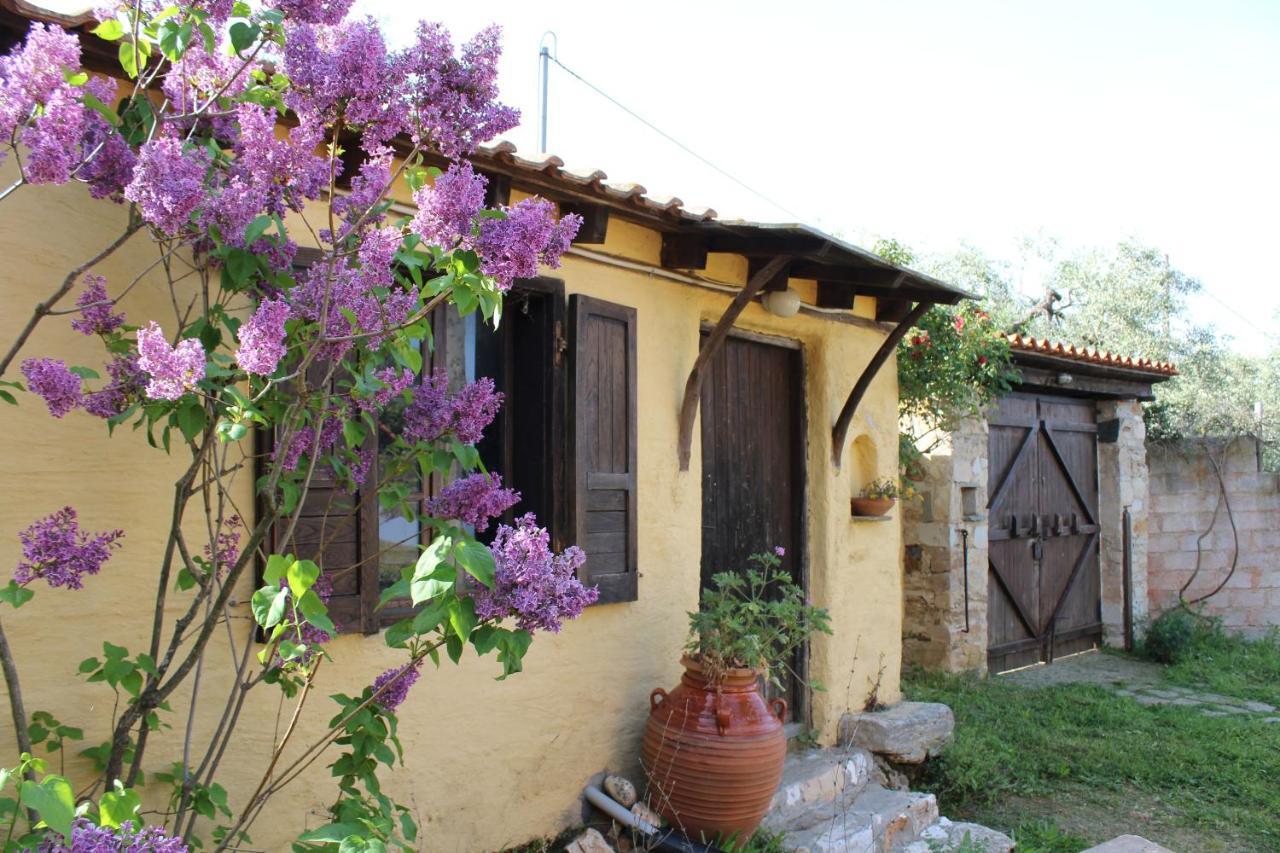 Kallirákhi Varias Art House מראה חיצוני תמונה